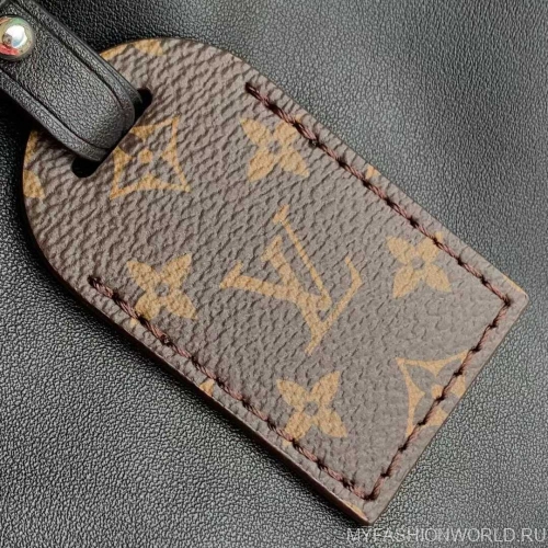 Сумка CarryAll BB Monogram