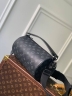 Сумка Louis Vuitton Soft Polochon small