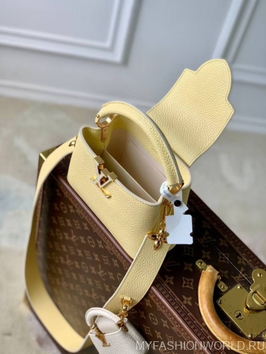 Сумка Louis Vuitton Capucines Cutie mini