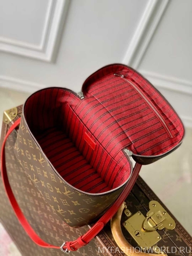 Сумка Louis Vuitton Nice BB