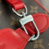 Сумка Louis Vuitton Nice BB