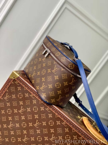 Сумка Louis Vuitton Nice BB