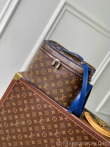 Сумка Louis Vuitton Nice BB
