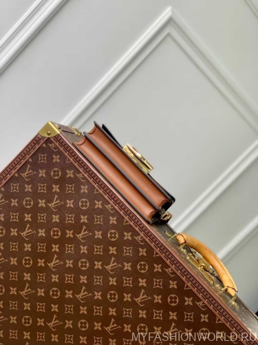 Сумка Louis Vuitton Dauphine East West small
