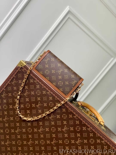 Сумка Louis Vuitton Dauphine East West small
