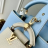 Сумка Louis Vuitton Capucines Cutie Small