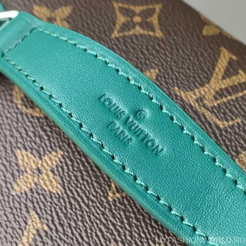 Сумка Louis Vuitton Nice BB