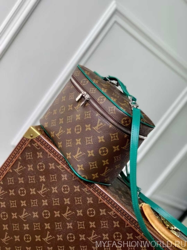Сумка Louis Vuitton Nice BB