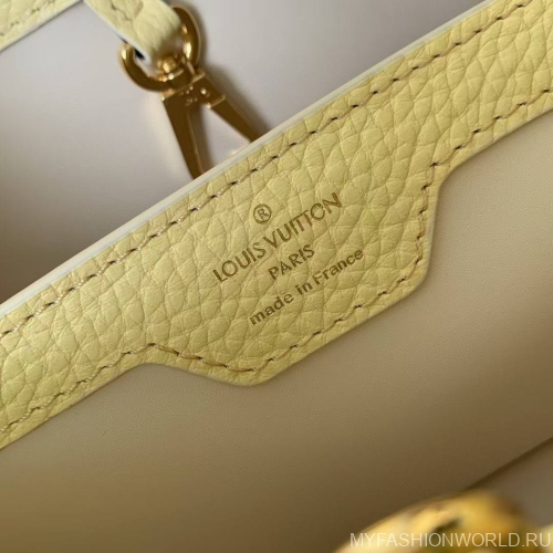 Сумка Louis Vuitton Capucines Cutie Small
