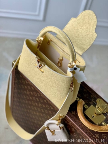 Сумка Louis Vuitton Capucines Cutie Small