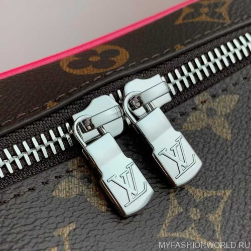 Сумка Louis Vuitton Nice mini
