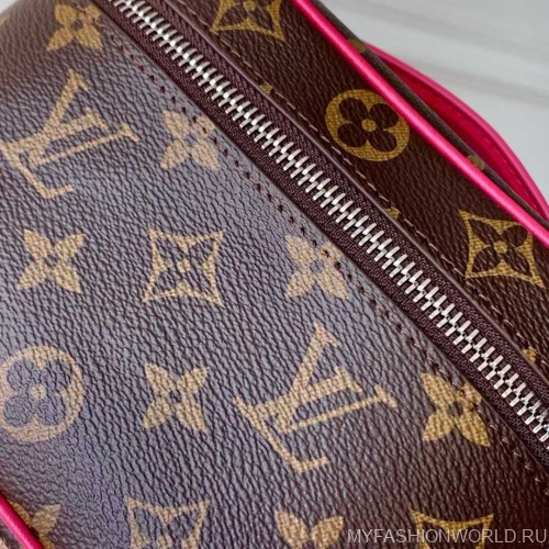 Сумка Louis Vuitton Nice mini