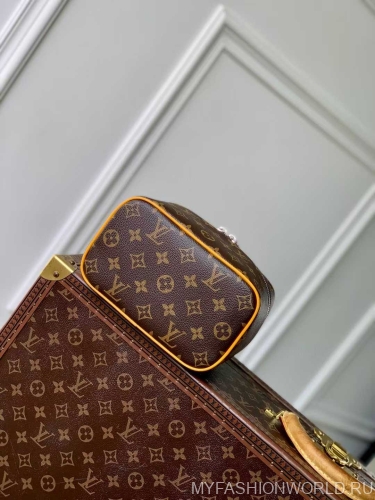 Сумка Louis Vuitton Nice mini