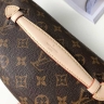 Поясная cумка Louis Vuitton BUMBAG