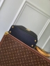 Сумка Louis Vuitton Capucines East West small
