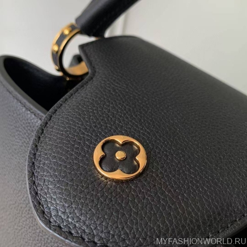 Сумка Louis Vuitton Capucines East West small