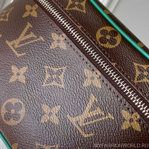Сумка Louis Vuitton Nice mini