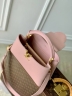 Сумка Louis Vuitton Capucines East West small