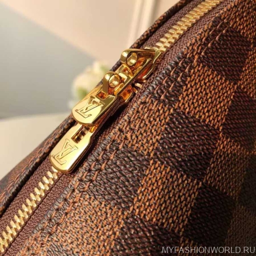 Сумка Louis Vuitton Alma Damier Ebene canvas small