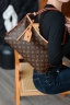 Сумка Louis Vuitton CarryAll East West