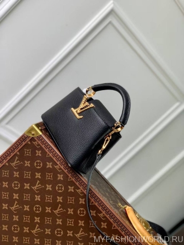 Сумка Louis Vuitton Capucines Nautical mini