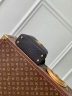 Сумка Louis Vuitton Capucines Nautical mini