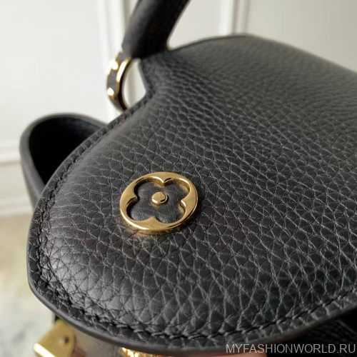 Сумка Louis Vuitton Capucines Nautical mini