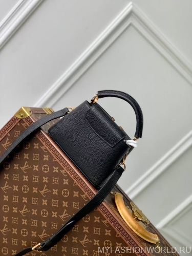 Сумка Louis Vuitton Capucines Nautical mini