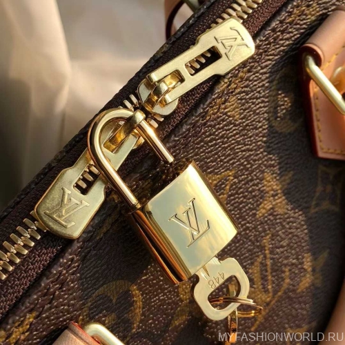 Сумка Louis Vuitton Alma Monogram canvas small