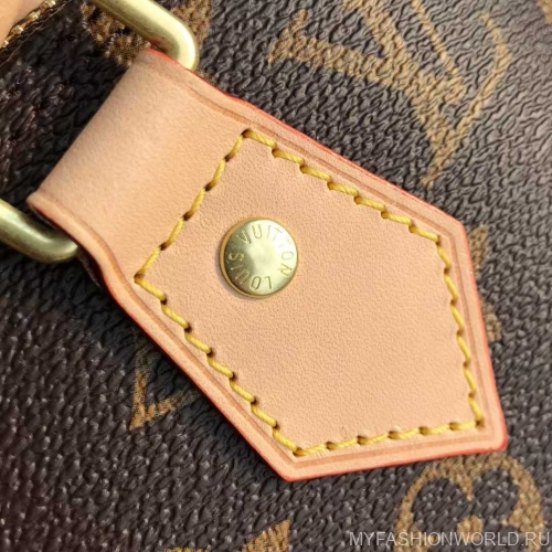 Сумка Louis Vuitton Alma Monogram canvas small