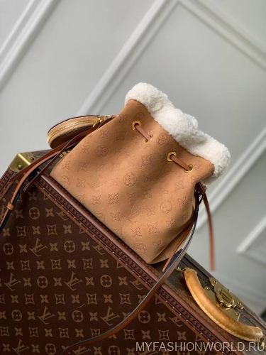 Сумка Louis Vuitton Bella