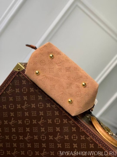 Сумка Louis Vuitton Bella