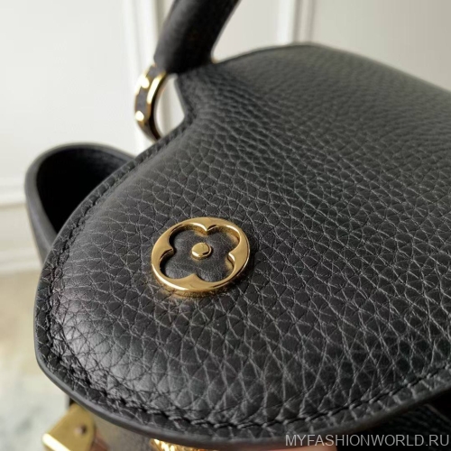 Сумка Louis Vuitton Capucines Nautical small