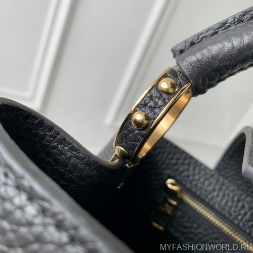 Сумка Louis Vuitton Capucines Nautical small