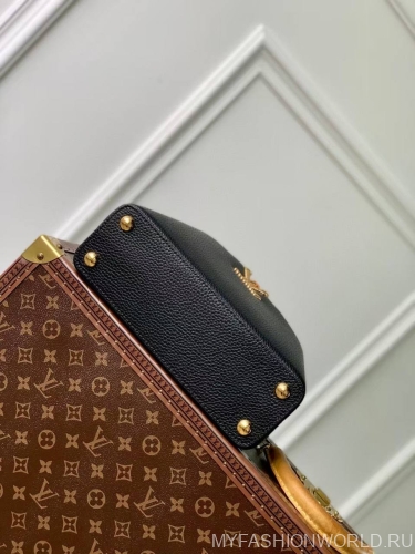 Сумка Louis Vuitton Capucines Nautical small