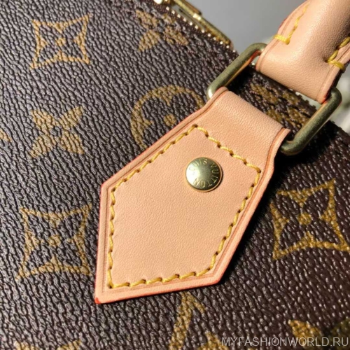 Сумка Louis Vuitton Alma Monogram canvas medium