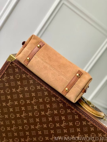 Сумка Louis Vuitton CarryAll PM