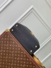 Сумка Louis Vuitton Capucines Nautical medium