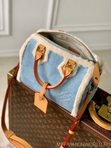 Сумка Louis Vuitton Speedy с плечевым ремнём