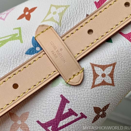 Сумка Louis Vuitton Takashi Murakami CarryAll 