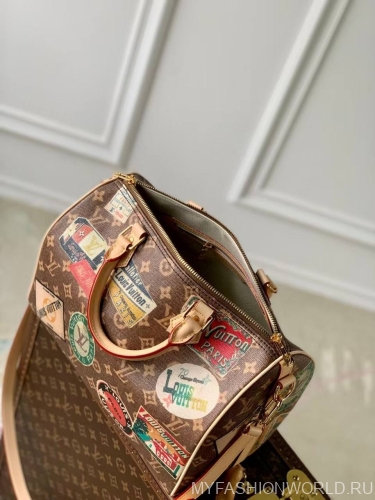 Сумка Louis Vuitton Speedy Bandoulière 30