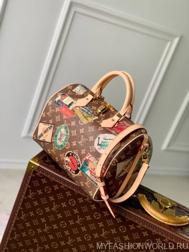 Сумка Louis Vuitton Speedy Bandoulière 30