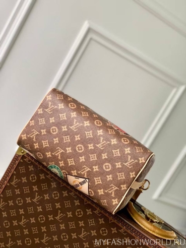Сумка Louis Vuitton Speedy Bandoulière 30