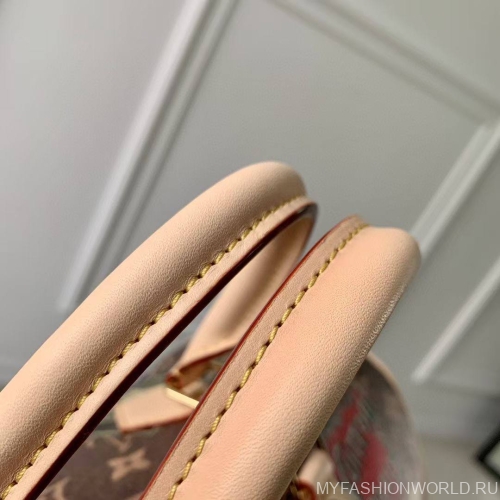 Сумка Louis Vuitton Speedy Bandoulière 30