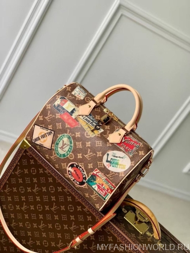 Сумка Louis Vuitton Speedy Bandoulière 30