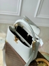 Сумка Louis Vuitton Capucines Nautical medium