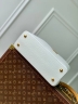 Сумка Louis Vuitton Capucines Nautical medium