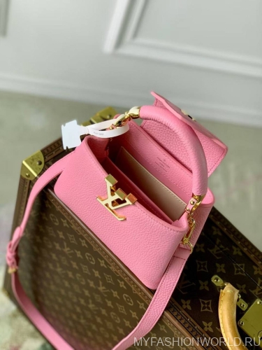 Сумка Louis Vuitton Capucines Mini Jewelily