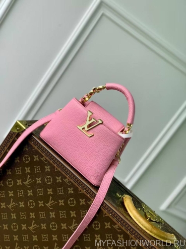 Сумка Louis Vuitton Capucines Mini Jewelily
