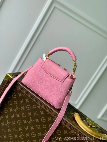 Сумка Louis Vuitton Capucines Mini Jewelily